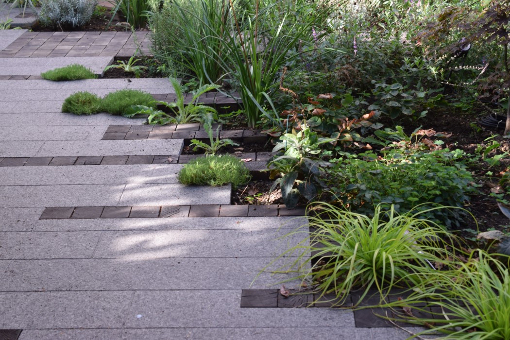 Grasses and moss for edging